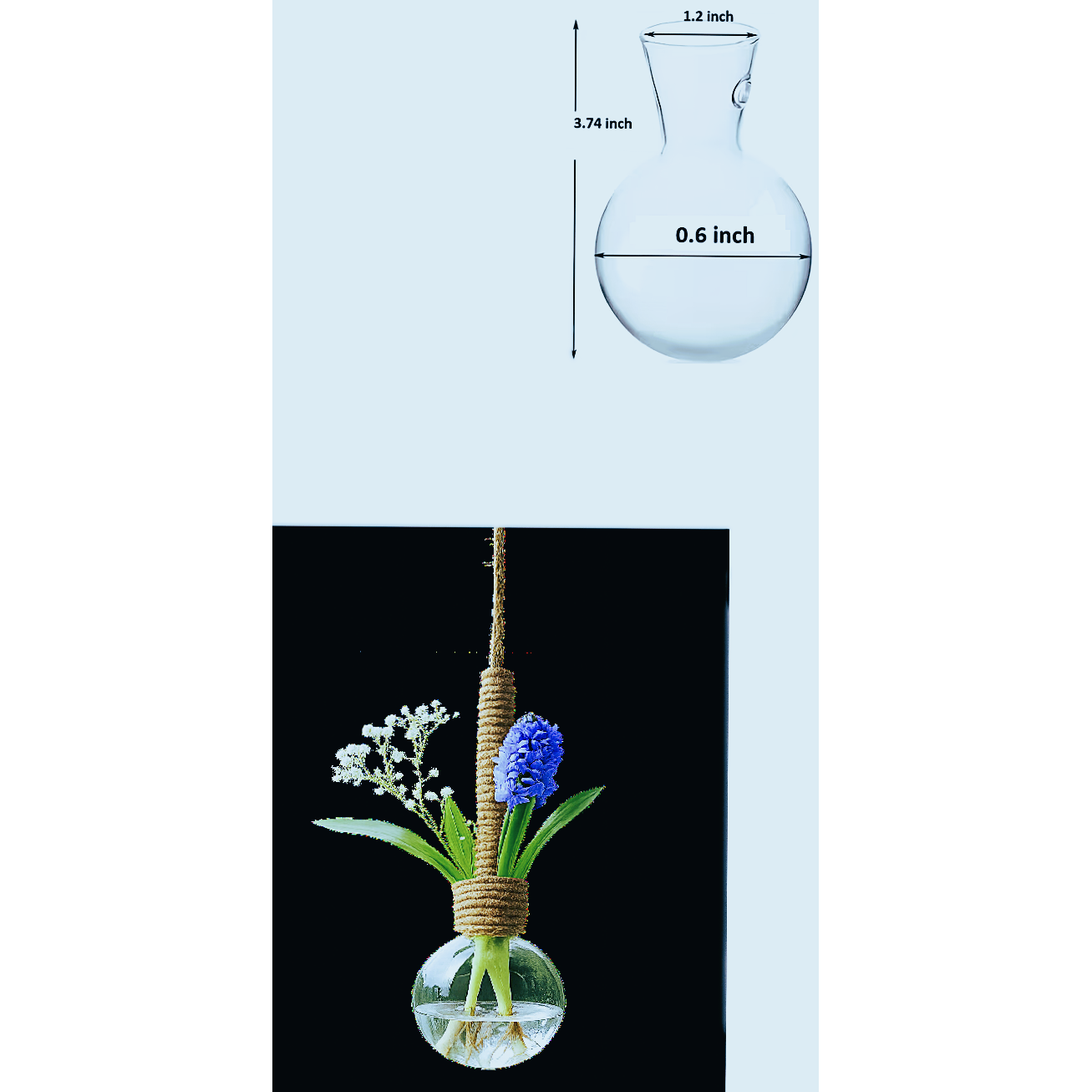 Mini Hanging Plant Propagation Bottle, Modern, Round